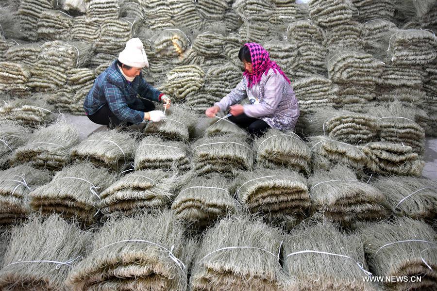 #CHINA-SHANDONG-VERMICELLI PRODUCTION (CN)