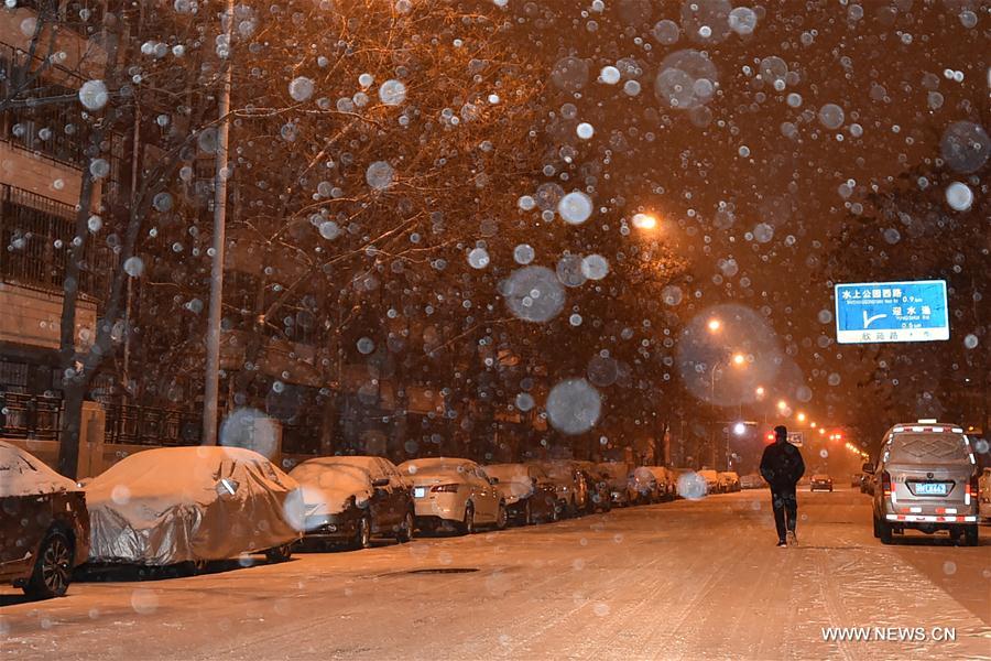 CHINA-TIANJIN-SNOWFALL(CN)