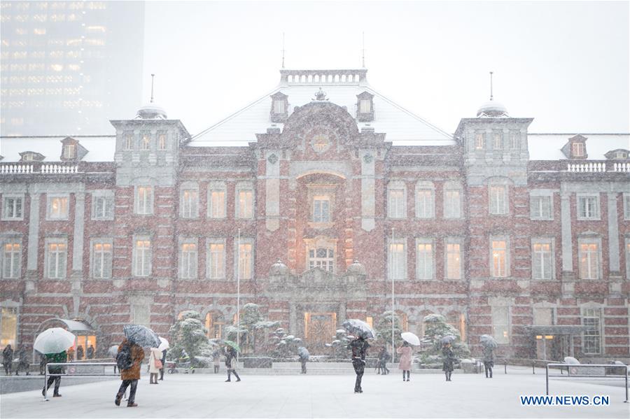 JAPAN-TOKYO-SNOW