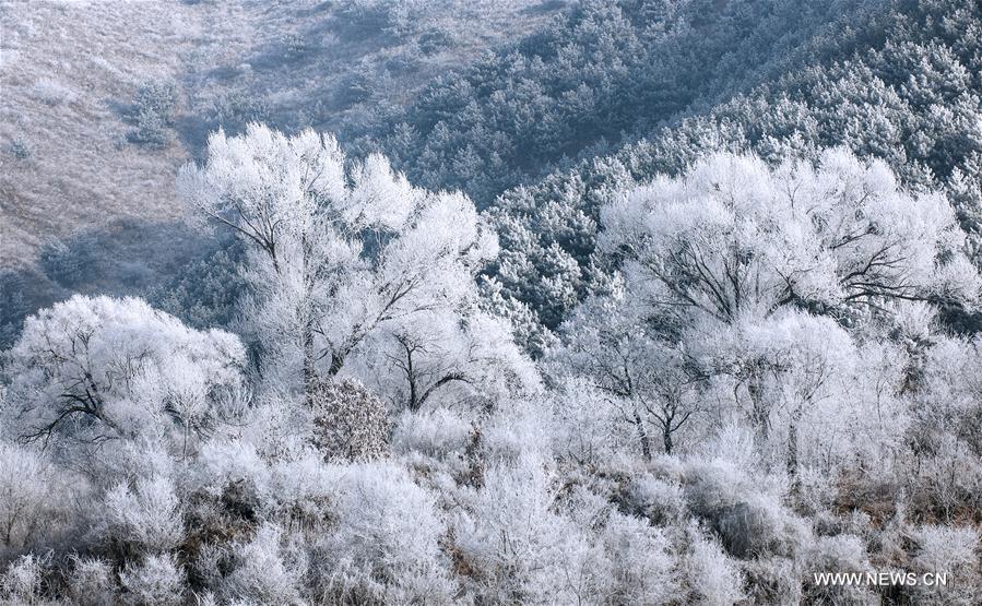 #CHINA-SHANXI-FROST SCENERY (CN)