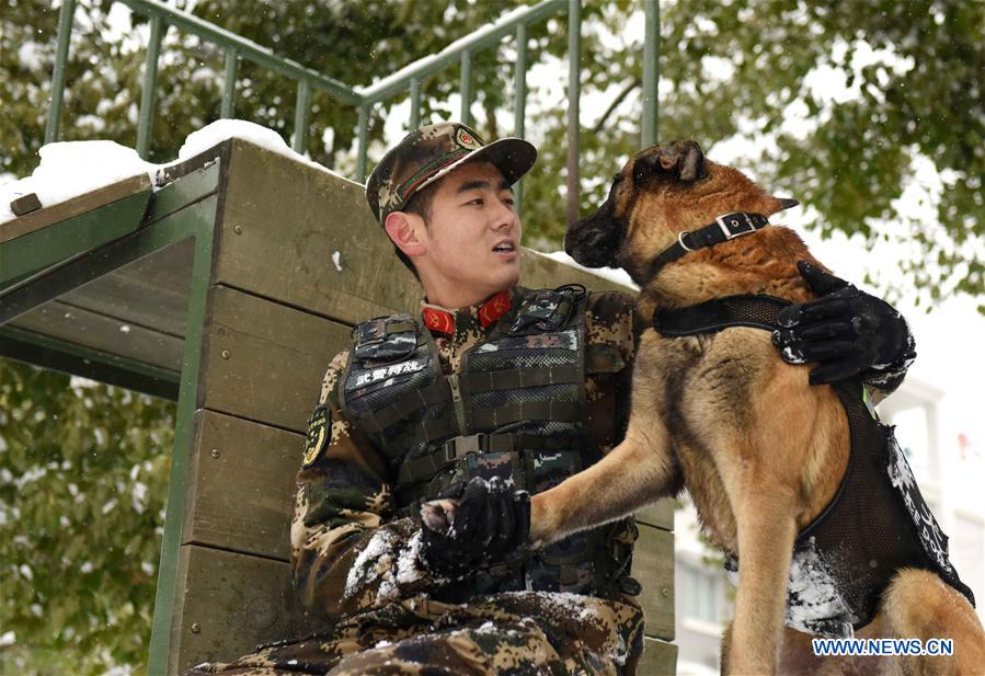 #CHINA-HEFEI-POLICE DOG (CN)