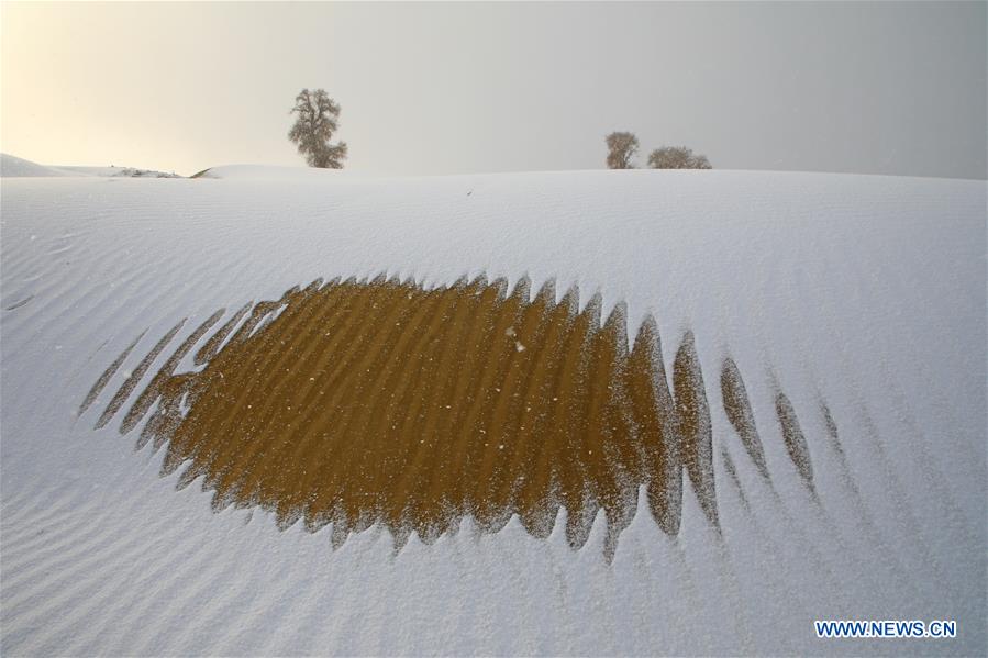 #CHINA-XINJIANG-TAKLIMAKAN DESERT-SCENERY (CN)