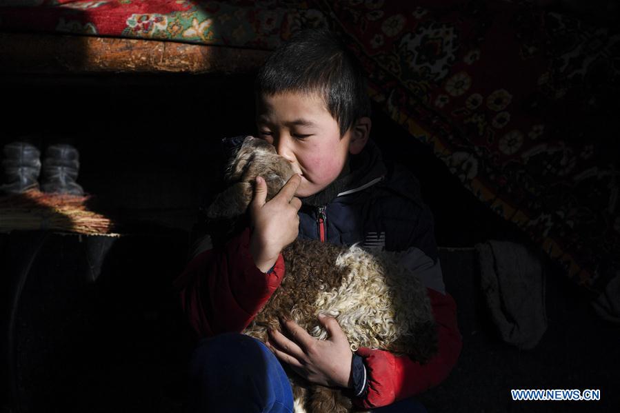 CHINA-XINJIANG-AKYAZ VALLEY-WINTER GRAZING (CN)