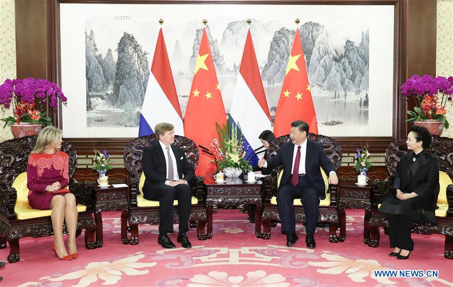 CHINA-BEIJING-XI JINPING-DUTCH KING-MEETING (CN)