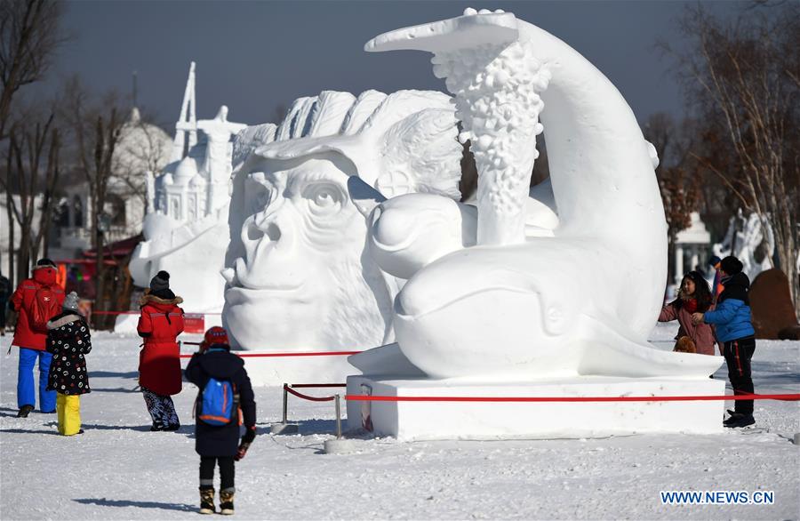 CHINA-HEILONGJIANG-HARBIN-WINTER TOURISM (CN)