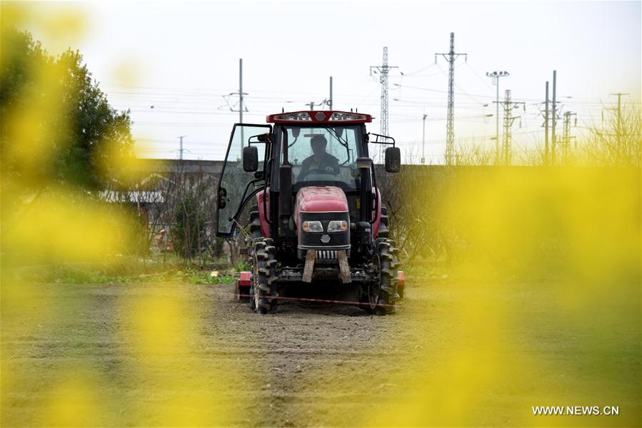 #CHINA-RURAL AREAS-FARM WORK (CN)