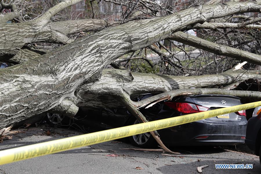 U.S.-WASHINGTON D.C.-WINDSTORM