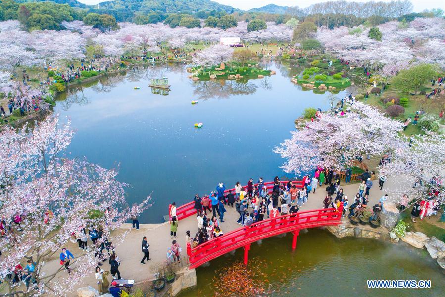 CHINA-WUHAN-CHERRY BLOSSOMS (CN)