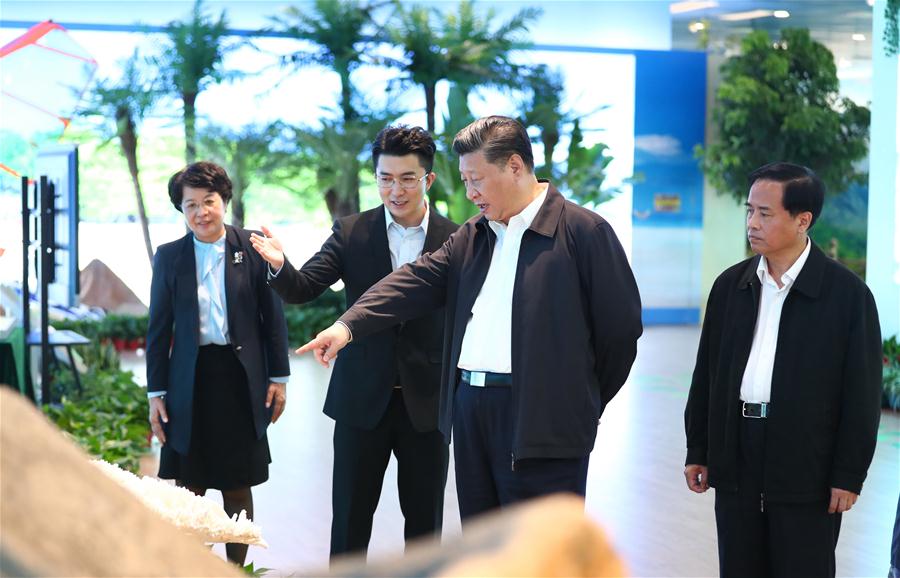 CHINA-HAINAN-XI JINPING-INSPECTION (CN)