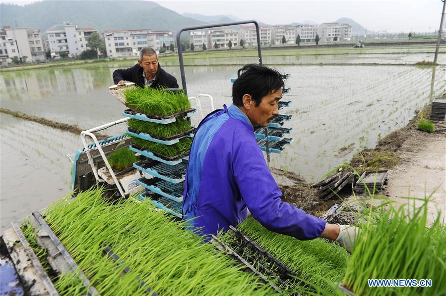 #CHINA-SPRING-FARM WORK(CN)