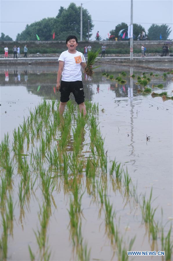 CHINA-ZHEJIANG-RICE TRANSPLANTING GAME (CN)