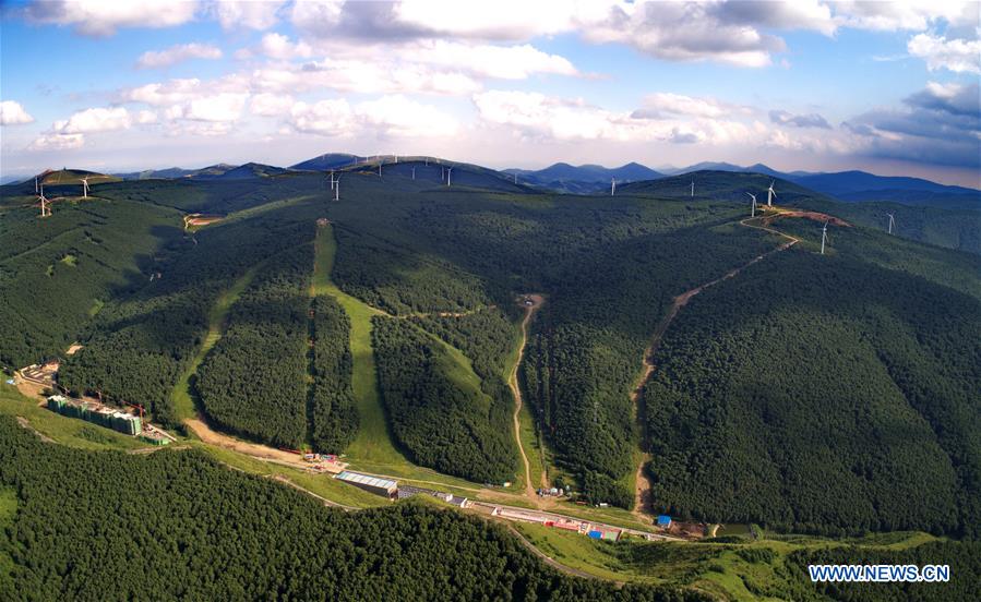 Xinhua Headlines: Enhanced law enforcement to make skies blue again