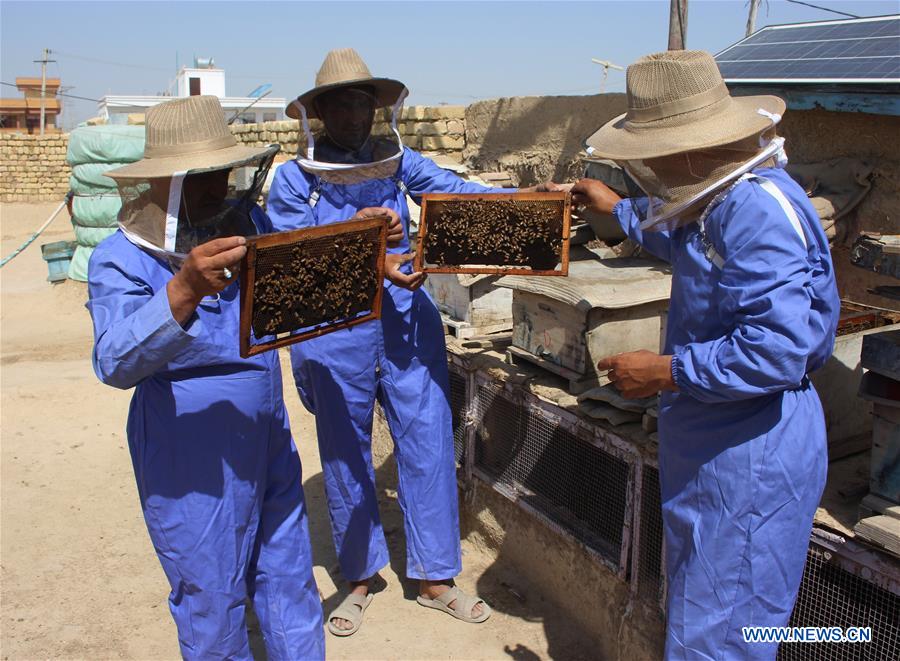 AFGHANISTAN-BALKH-BEE FARM