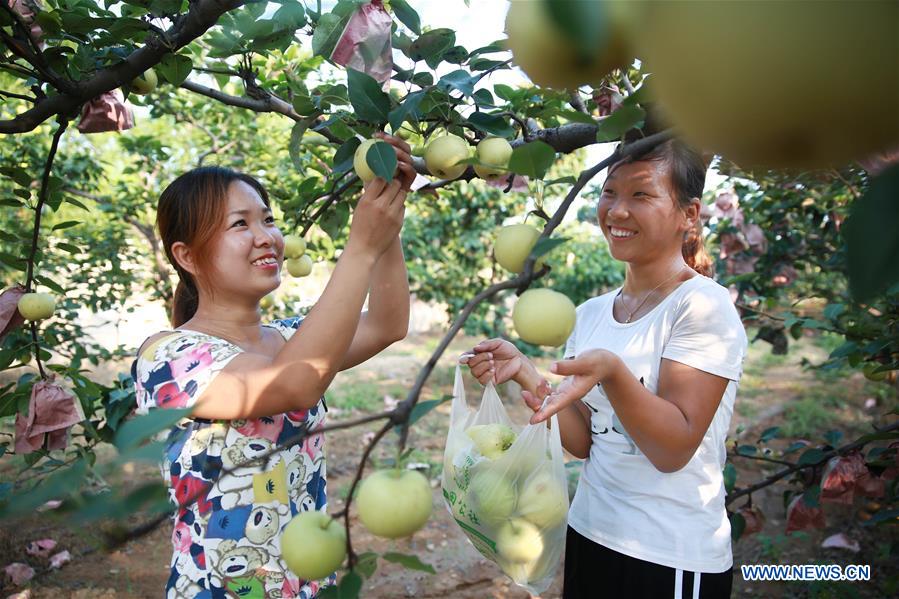 CHINA-HEBEI-TOURISM (CN)