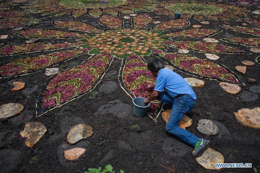 MEXICO-TEPOTZOTLAN-FLOWER CARPET