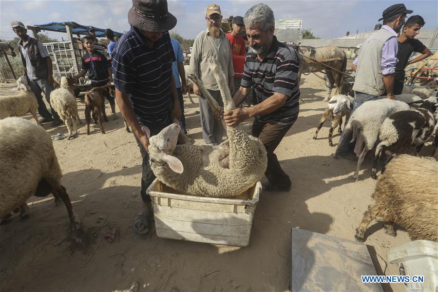 MIDEAST-GAZA-EID AL-ADHA-LIVESTOCK MARKET