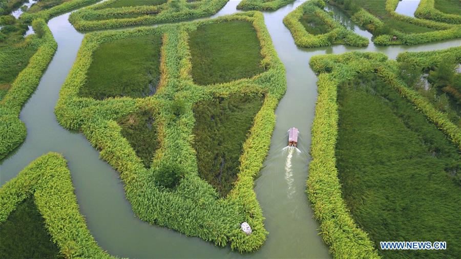 #CHINA-JIANGSU-HONGZE LAKE-SCENERY(CN)