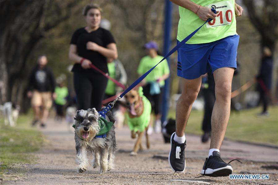 URUGUAY-MONTEVIDEO-"PET RUN"