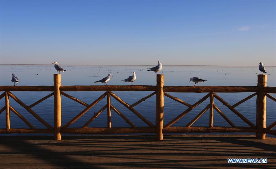 CHINA-INNER MONGOLIA-JUYAN LAKE-SCENERY(CN)