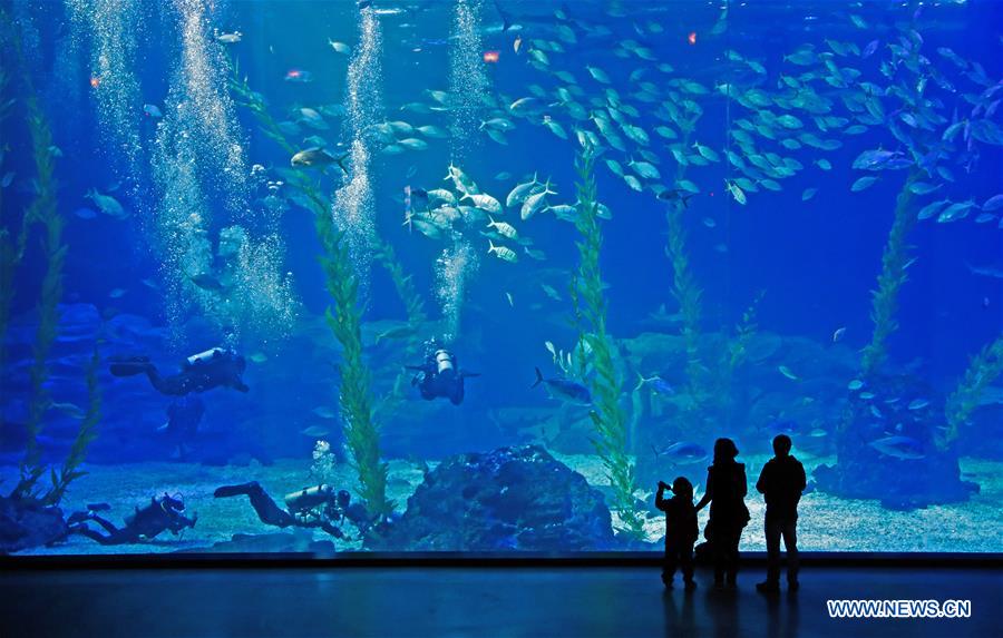 SOUTH KOREA-JEJU ISLAND-AQUA PLANET