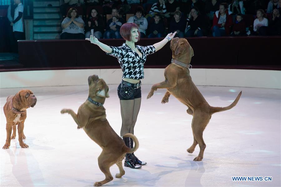 HUNGARY-BUDAPEST-CHRISTMAS CIRCUS