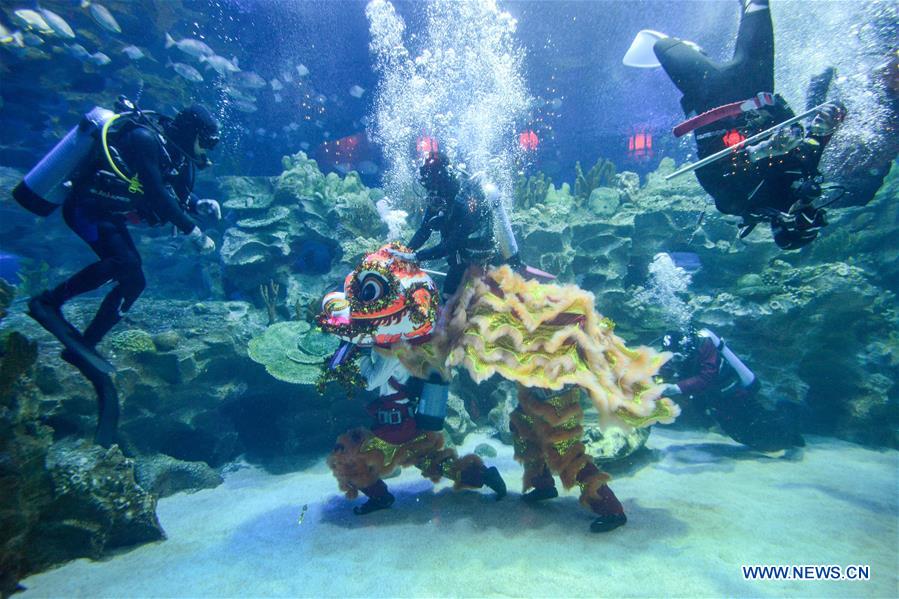 MALAYSIA-KUALA LUMPUR-UNDERWATER LION DANCE