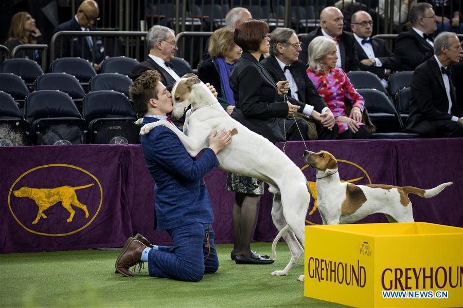 U.S-NEW YORK-DOG SHOW