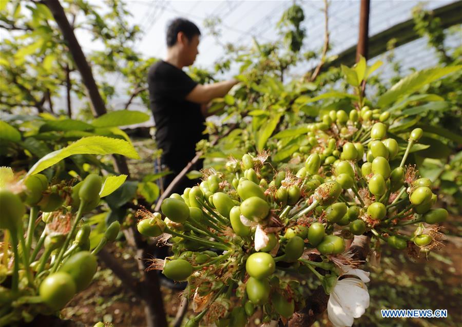 #CHINA-EARLY SPRING-AGRICULTURE(CN)