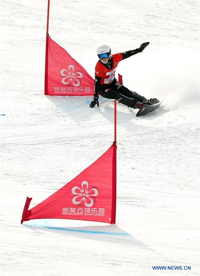 (SP)CHINA-HEBEI-ZHANGJIAKOU-FIS SNOWBOARD-PARALLEL SLALOM(CN)