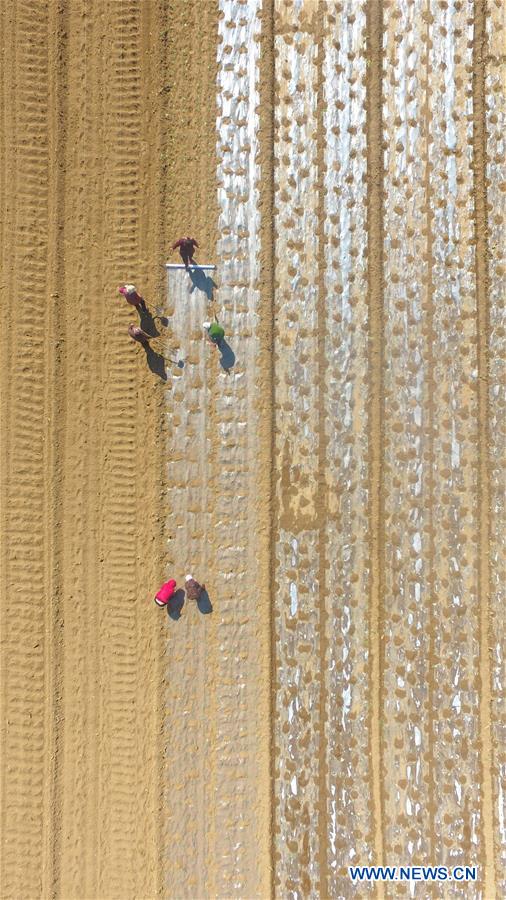 #CHINA-SPRING-FARMING (CN)