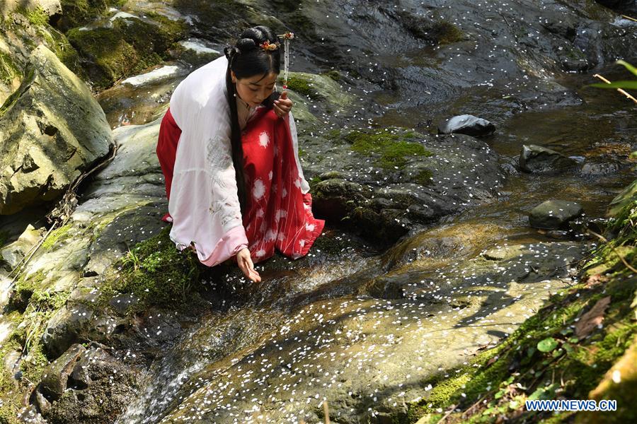 CHINA-ZHEJIANG-SPRING-WILD CHERRY (CN)