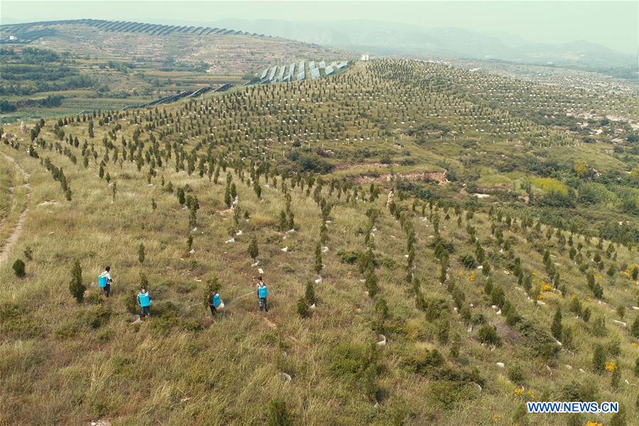 CHINA-REFORESTATION EFFORTS-WORLD LEADING (CN)