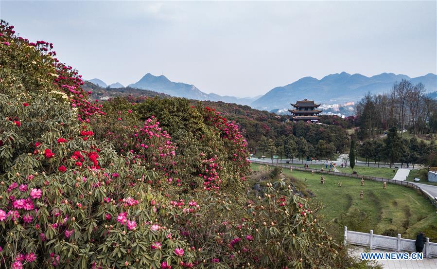 CHINA-GUIZHOU-BIJIE-SCENIC SPOT (CN)