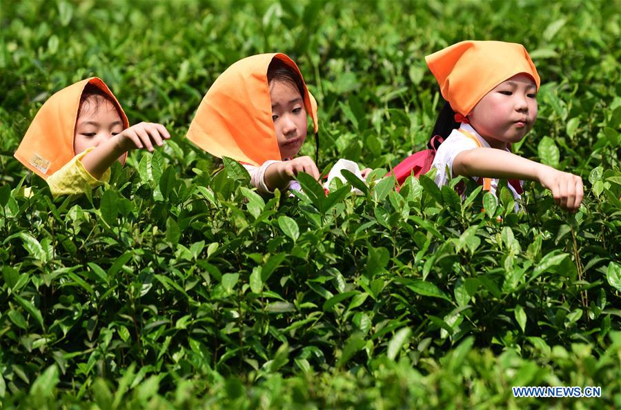 CHINA-CHONGQING-CHILDREN-TEA (CN)