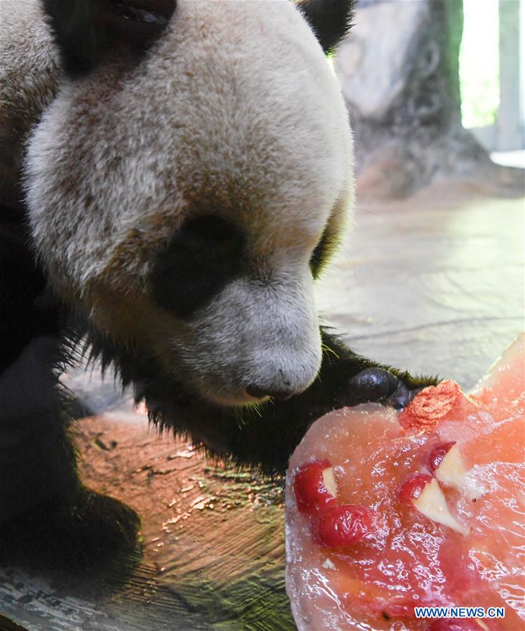 CHINA-HAINAN-HAIKOU-ZOO-HEAT WAVE (CN)