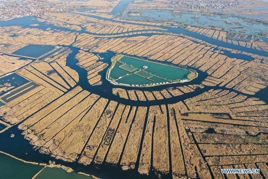 (EcoChina) CHINA-BEIJING-HORTICULTURAL EXPO-HEBEI (CN)