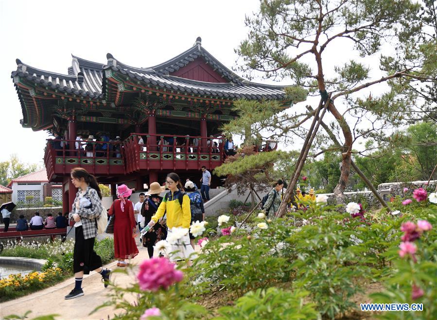 CHINA-BEIJING-HORTICULTURAL EXPO-SOUTH KOREA DAY (CN)