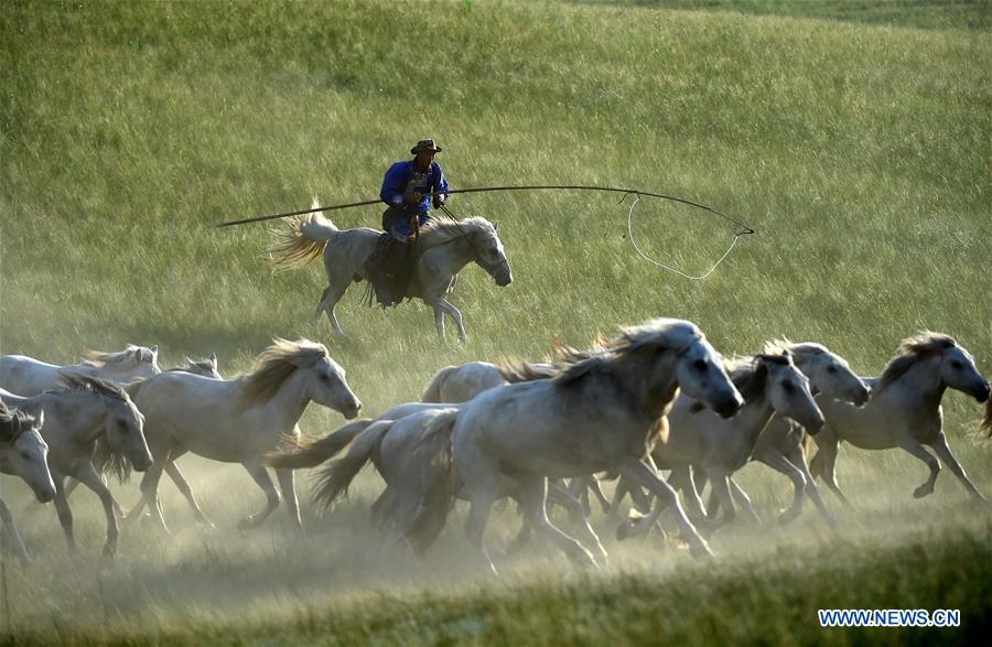 CHINA-INNER MONGOLIA-HORSE LASSOING (CN)