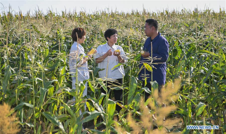 CHINA-JILIN-CORN-BUSINESS (CN)