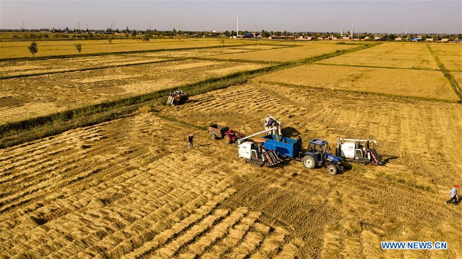 CHINA-HARVEST-AERIAL VIEW (CN)