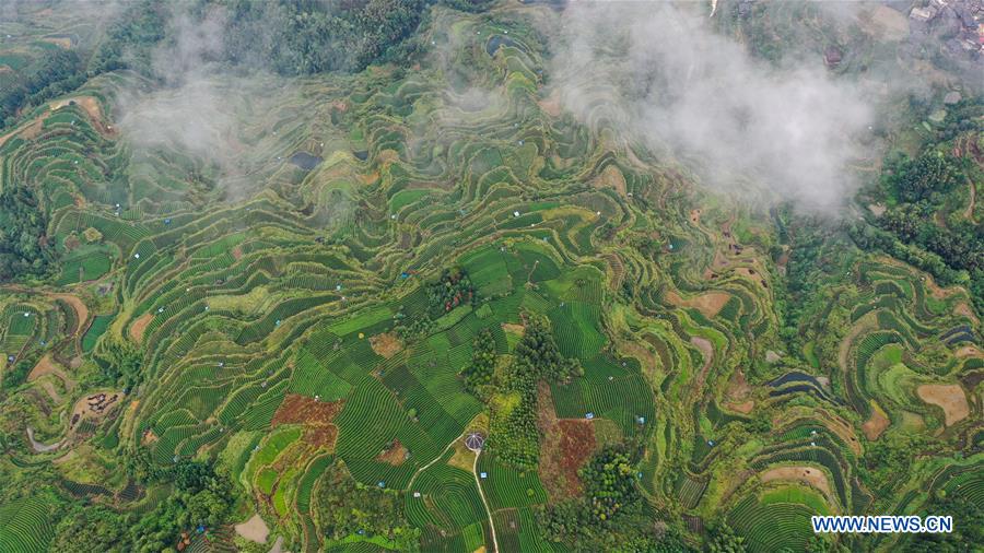 CHINA-GUANGXI-AUTUMN-AERIAL VIEW (CN)