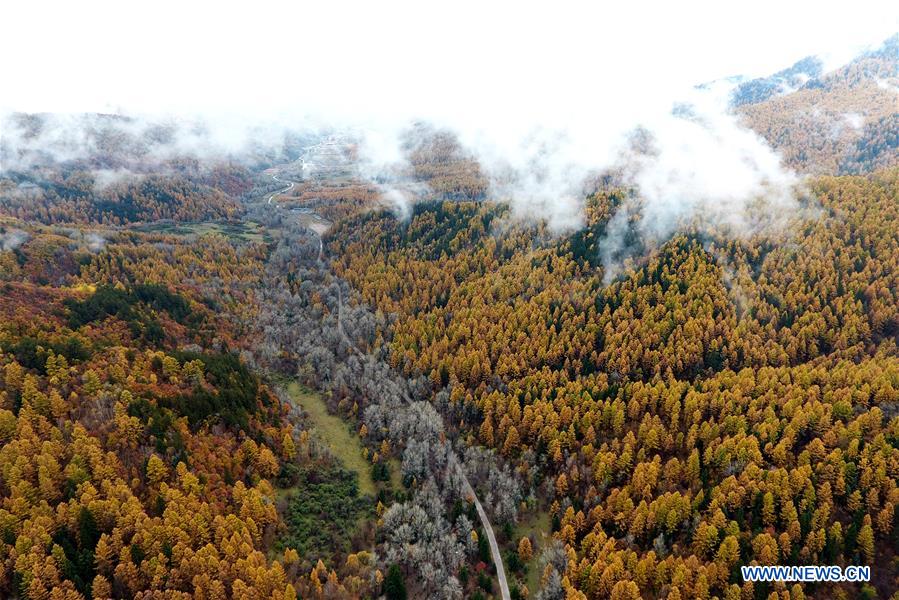 CHINA-SHANXI-PANGQUANGOU-NATURE RESERVE (CN)