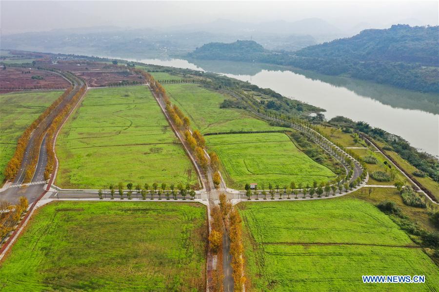 CHINA-CHONGQING-GUANGYANG ISLE-WINTER SCENERY (CN)