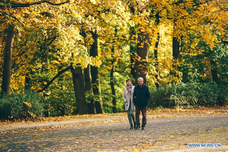 BELGIUM-BRUSSELS-AUTUMN SCENERY