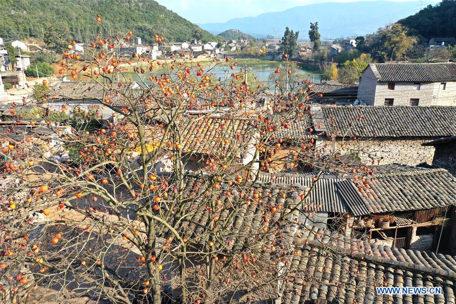 (FOCUS) CHINA-YUNNAN-SHILIN-ANCIENT VILLAGE RENEWAL (CN)