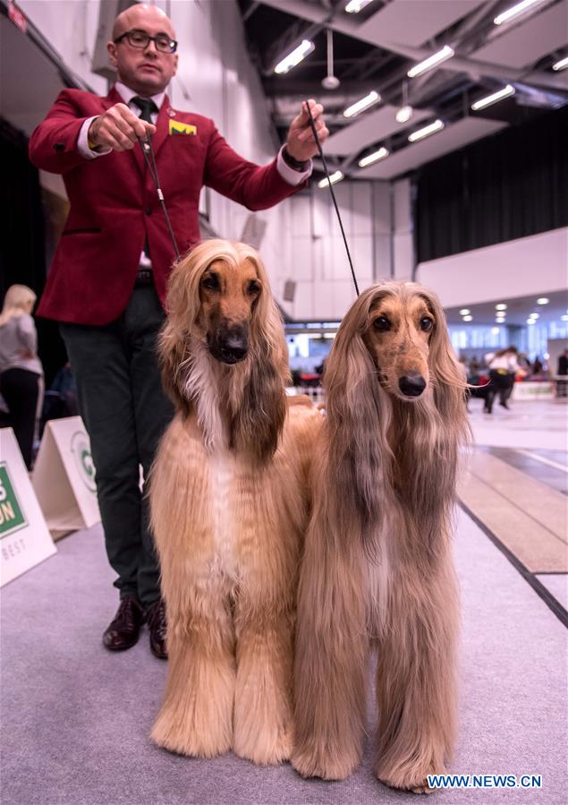 LITHUANIA-VILNIUS-DOG SHOW