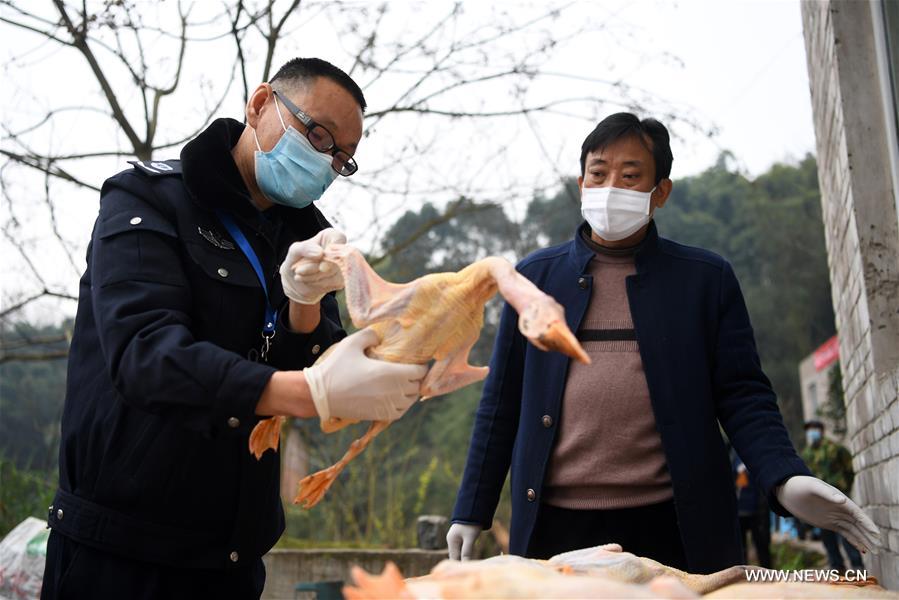 CHINA-CHONGQING-NCP-PREVENTION-POVERTY ALLEVIATION (CN)