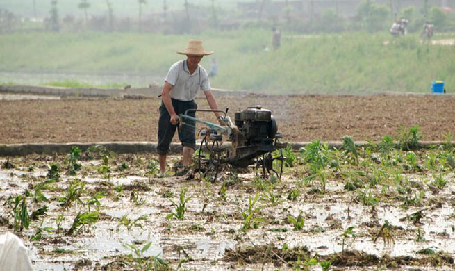 Farmers work across China