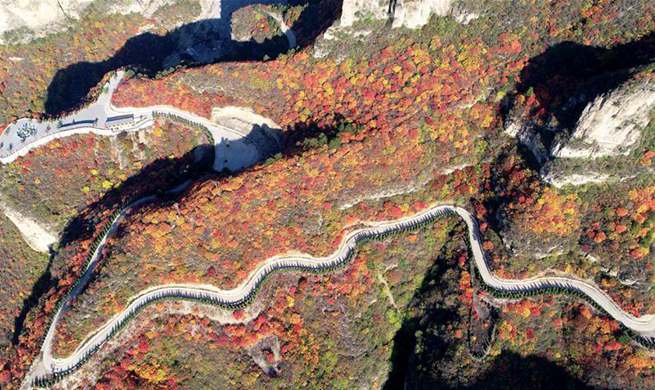 Scenery of red leaves in Pingshan County, N China's Hebei