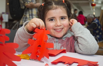 Annual Chinese New Year event in Toronto draws hundreds of visitors